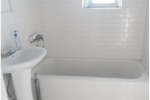 Albemarle Rd.,Brooklyn,NY,3 Bedrooms Bedrooms,1 BathroomBathrooms,Apartment,Albemarle Rd. ,3,1110
