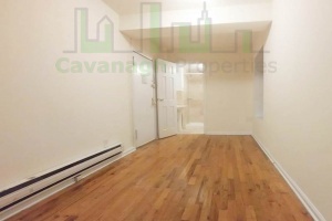 209 East 10th St,Manhattan,NY,3 Bedrooms Bedrooms,5 Rooms Rooms,2 BathroomsBathrooms,Apartment,East 10th St,1151