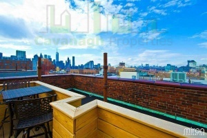 87 Hicks St,Brooklyn,NY,1 Room Rooms,1 BathroomBathrooms,Apartment,Hicks St,5,1171
