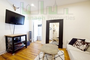 185 East 3rd St,Manhattan,NY,1 Bedroom Bedrooms,3 Rooms Rooms,1 BathroomBathrooms,Apartment,East 3rd St,4,1177