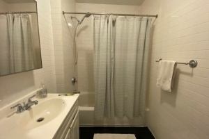 73 Pineapple st, Brooklyn, NY, 1 Bedroom Bedrooms, 2 Rooms Rooms,1 BathroomBathrooms,Apartment,For Rent,Pineapple st,3,1189