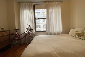 73 Pineapple st, Brooklyn, NY, 1 Bedroom Bedrooms, 2 Rooms Rooms,1 BathroomBathrooms,Apartment,For Rent,Pineapple st,3,1189