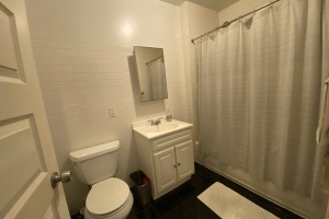 73 Pineapple st, Brooklyn, NY, 1 Bedroom Bedrooms, 2 Rooms Rooms,1 BathroomBathrooms,Apartment,For Rent,Pineapple st,3,1189