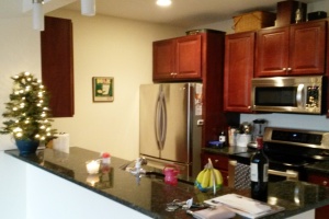 Clinton St,Brooklyn,NY,2 Bedrooms Bedrooms,5 Rooms Rooms,2 BathroomsBathrooms,Apartment,Clinton St,1058