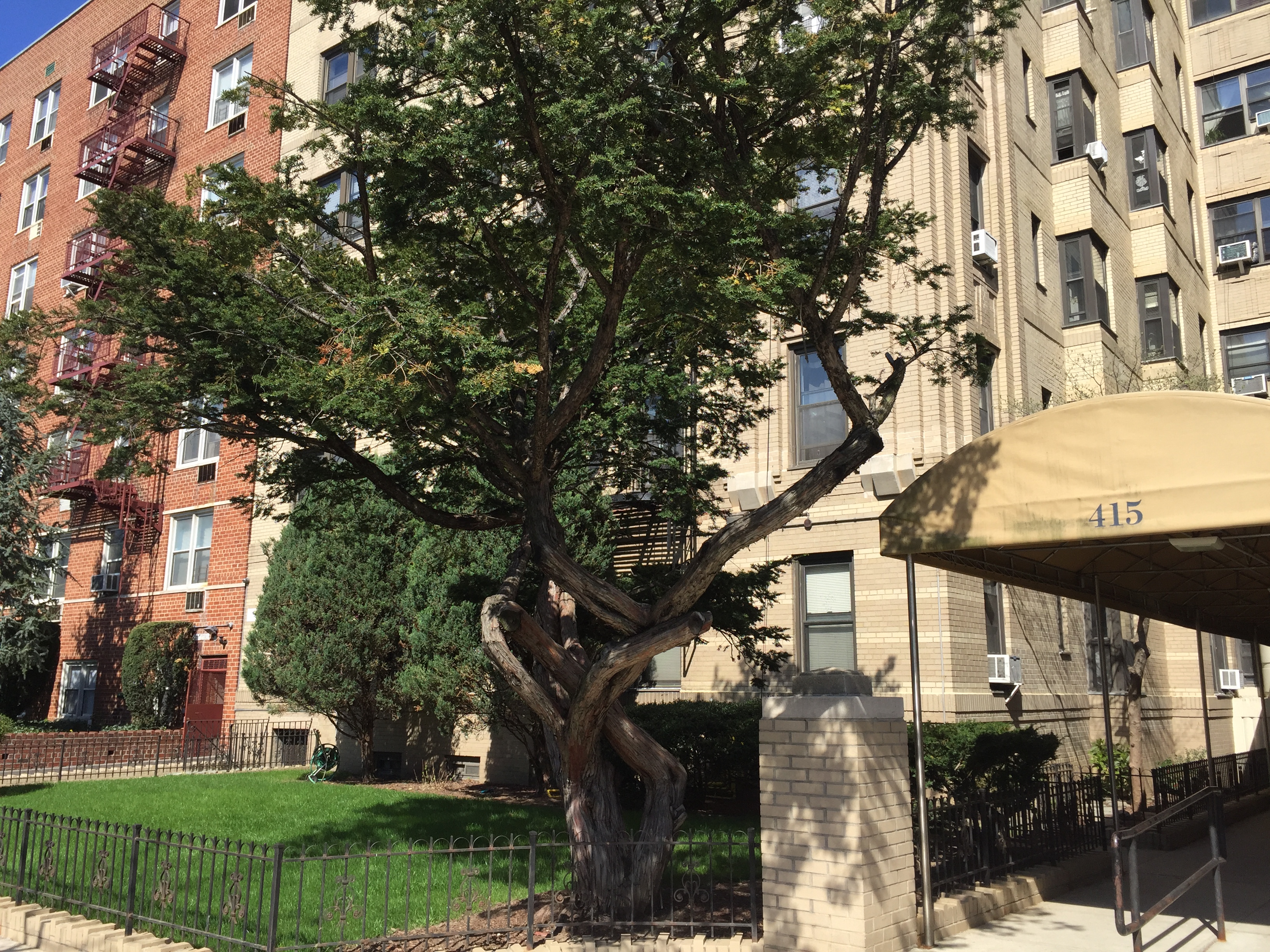 415 Ocean Parkway,Brooklyn,NY,2 Bedrooms Bedrooms,5 Rooms Rooms,1 BathroomBathrooms,Co-Op,Ocean Parkway,1164