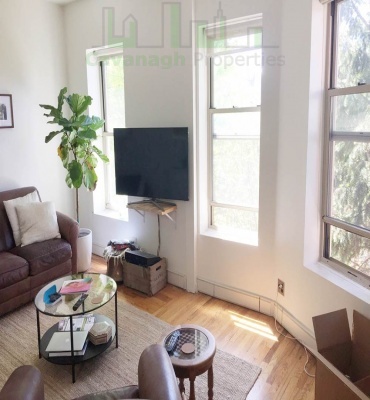 401 Douglass St, Brooklyn, NY, 2 Bedrooms Bedrooms, 5 Rooms Rooms,1 BathroomBathrooms,Condo,For sale,Douglass St,1167