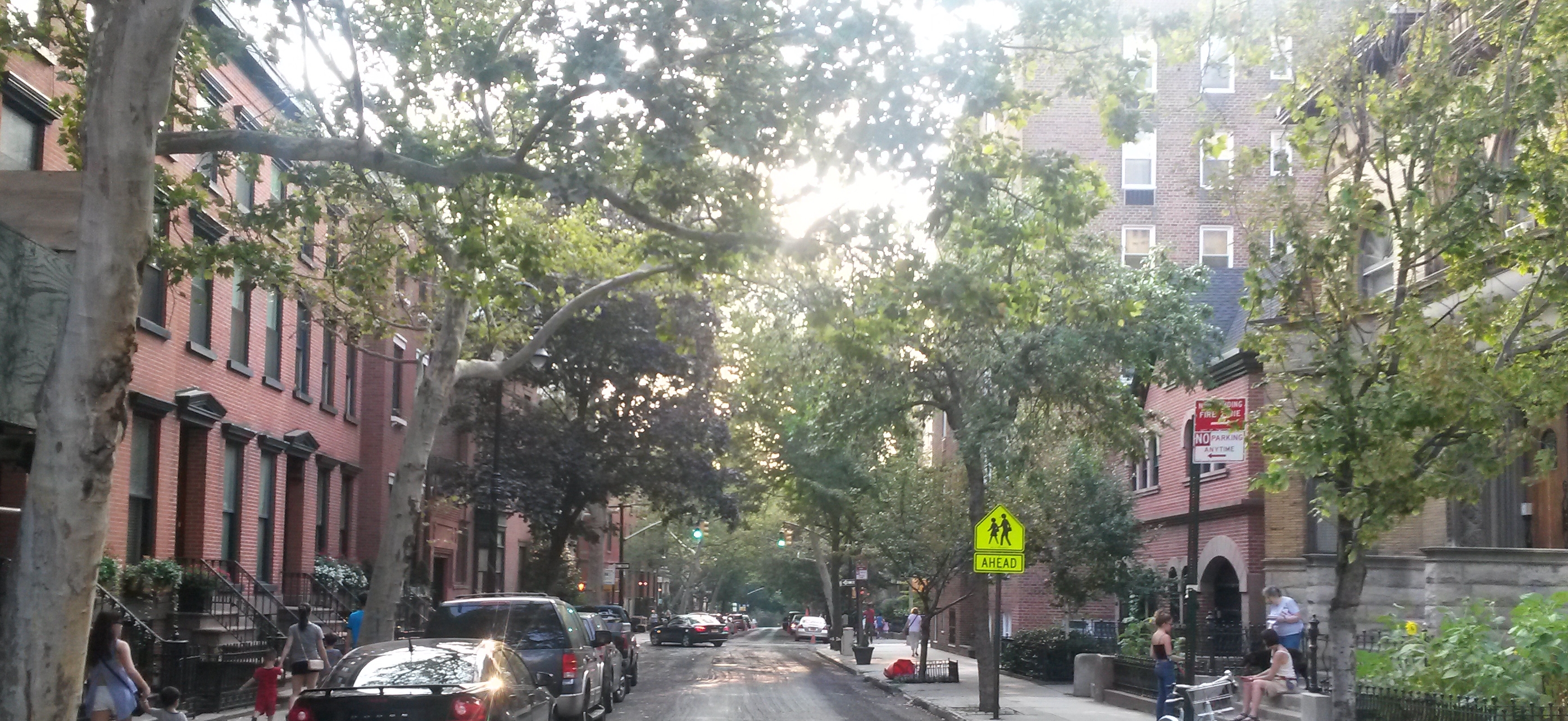 139 Joralemon st, Brooklyn, NY, 1 Bedroom Bedrooms, 3 Rooms Rooms,1 BathroomBathrooms,Apartment,For Rent,Joralemon st,1,1245