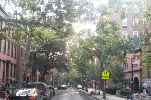 139 Joralemon st, Brooklyn, NY, 1 Bedroom Bedrooms, 3 Rooms Rooms,1 BathroomBathrooms,Apartment,For Rent,Joralemon st,1,1245