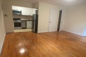 139 Joralemon st, Brooklyn, NY, 1 Bedroom Bedrooms, 3 Rooms Rooms,1 BathroomBathrooms,Apartment,For Rent,Joralemon st,1,1245