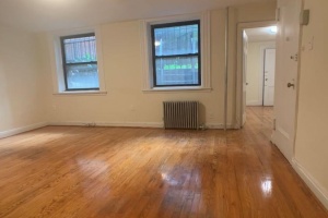 139 Joralemon st, Brooklyn, NY, 1 Bedroom Bedrooms, 3 Rooms Rooms,1 BathroomBathrooms,Apartment,For Rent,Joralemon st,1,1245