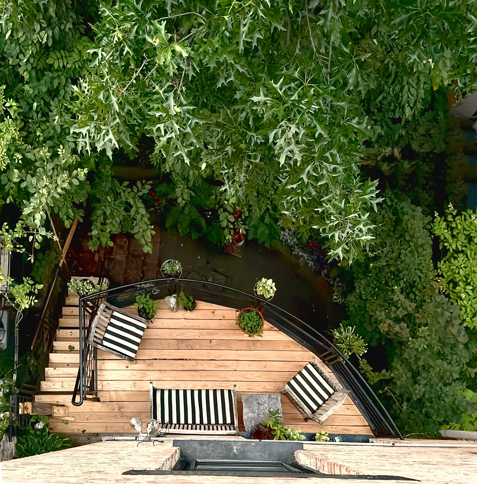 180 8th ave, Brooklyn, NY, 6 Bedrooms Bedrooms, 10 Rooms Rooms,6 BathroomsBathrooms,Townhouse,For sale,8th ave,1262