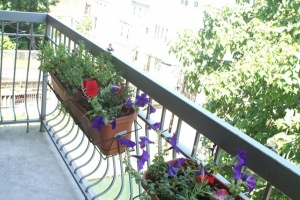 321 23rd Street, Brooklyn, NY, 2 Bedrooms Bedrooms, 5 Rooms Rooms,1 BathroomBathrooms,Condo,For sale,23rd Street,1047